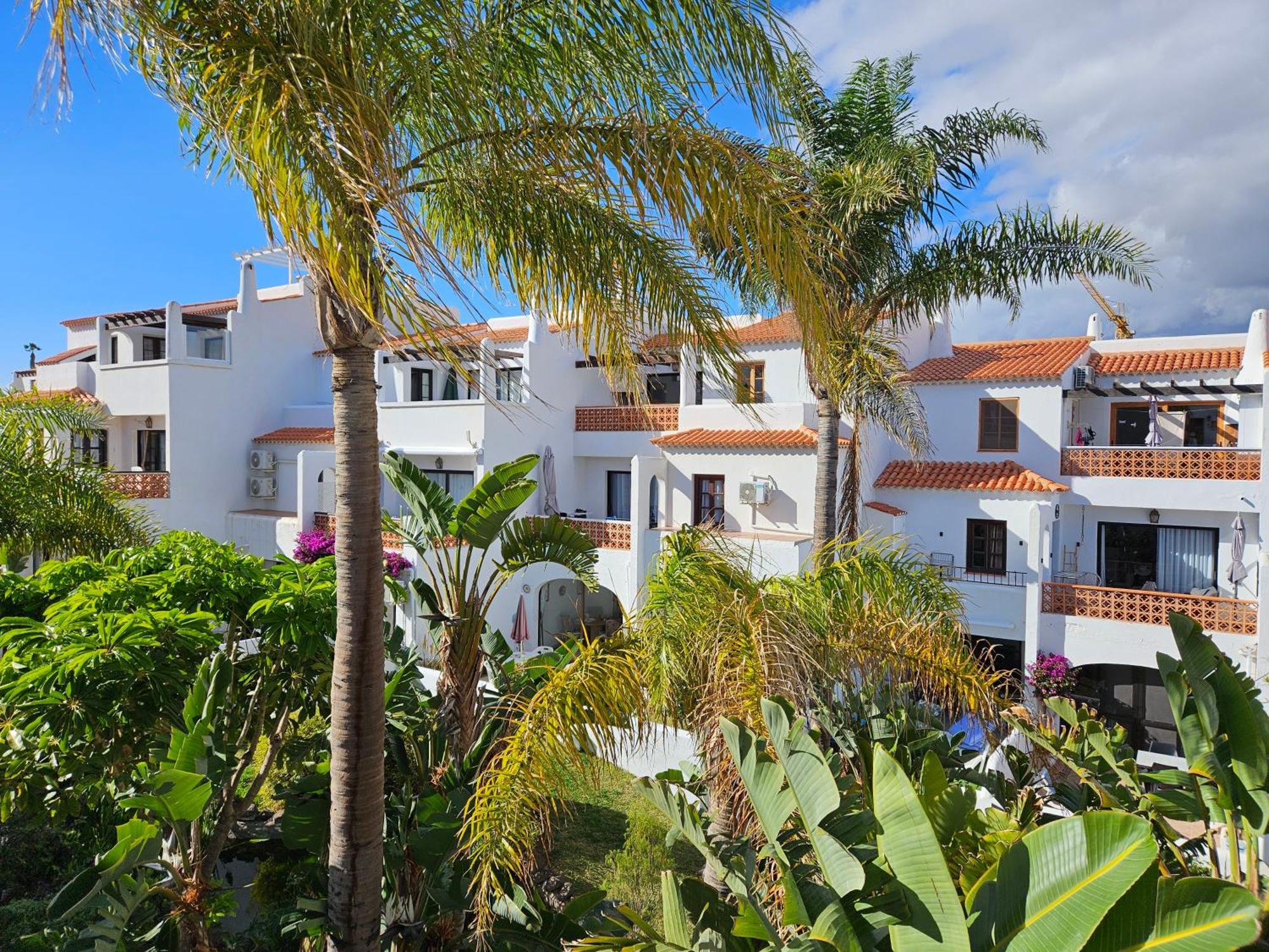 Sunny Oasis Amarilla Golf Διαμέρισμα Σαν Μιγκέλ ντε Αμπόνα Εξωτερικό φωτογραφία